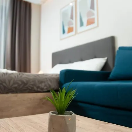 Apartment Dzankovic *