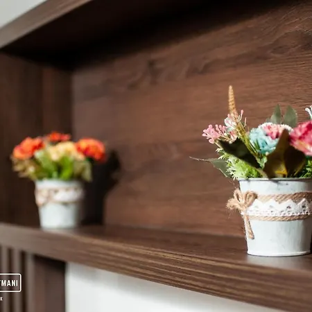 Apartment Dzankovic *