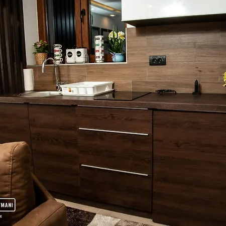 Apartment Dzankovic *