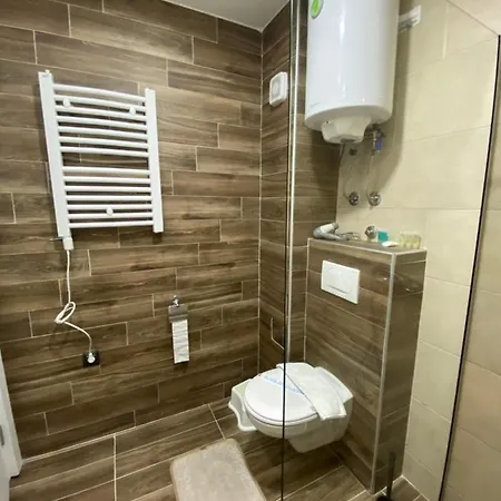 Apartment Dzankovic *