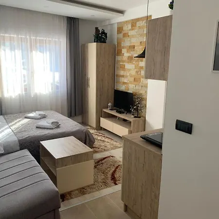 Dzankovic Apartment *