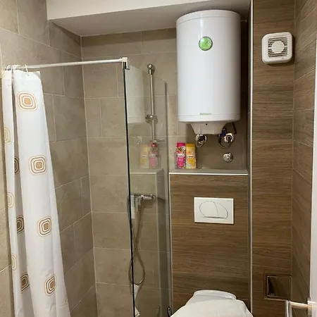 Apartment Dzankovic *