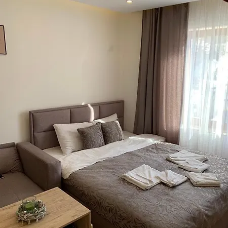 Apartment Dzankovic