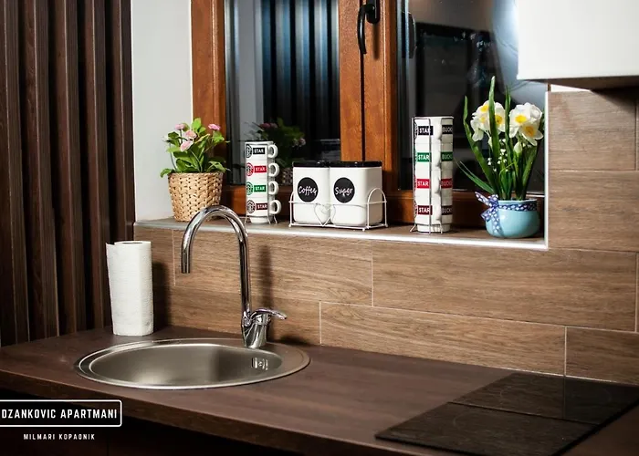 Daire Dzankovic Kopaonik